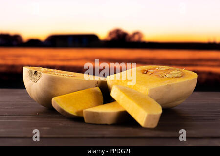 Group of two halves three slices of smooth pear shaped orange butternut squash waltham variety with autumn field and sunset in background Stock Photo