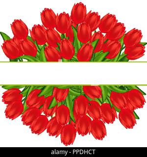 Vector illustration of red tulips. Gradient meshes. Stock Vector