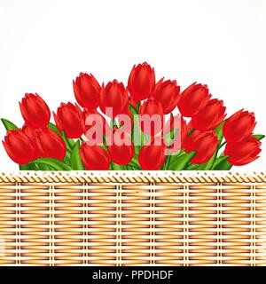 Vector illustration of red tulips. Gradient meshes. Stock Vector