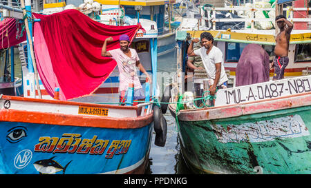 Negombo Sri Lanka July 24 2017 - Strong fisherman in the harbor of Negombo Stock Photo