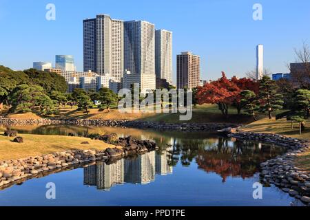 Tokyo skyline - skyscraper reflection in Hamarikyu Gardens. Stock Photo