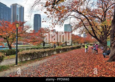 OSAKA, JAPAN - NOVEMBER 22, 2016: People visit autumn leaves in Minami Temma Park in Osaka, Japan. Osaka belongs to 2nd largest metropolitan area of J Stock Photo