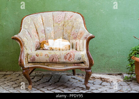 Ginger cat sleeping on sofa chair in front of a house Stock Photo
