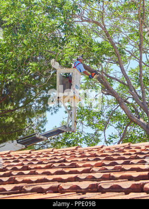 Bodrum, Turkey - July 6, 2018. A worker pruning a tree at height over a roof in a garden. Stock Photo
