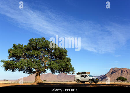 tourists in 4x4 cars on a self-drive trip parked under a big lonely tree in deserted rocks mountain landscape Stock Photo