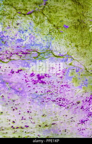Green, purple old retro grungy peeled wall texture, background Stock Photo