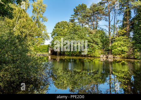 Southcrest Woods in Redditch, Worcestershire, England on a bright sunny ...