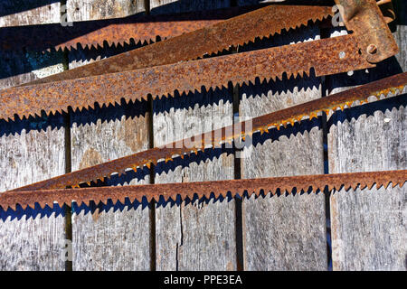 Rusty bow saw blades lying on a wooden table Stock Photo