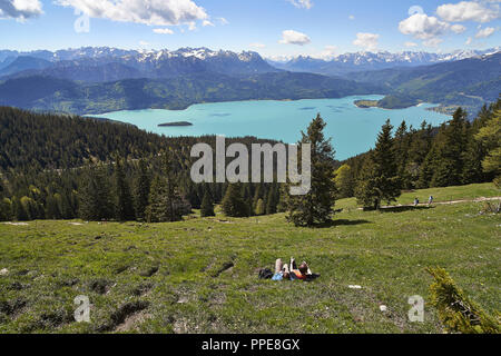 View from the Jochberg (1,565 m) on Lake Walchen. Stock Photo