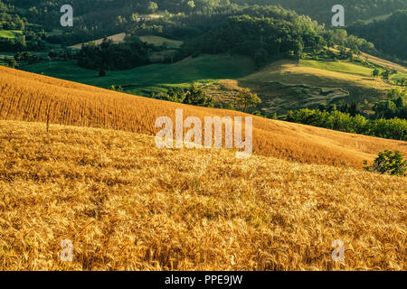 Cultivated land in Northern Apennines, Bologna province, Emilia Romagna, Italy. Stock Photo