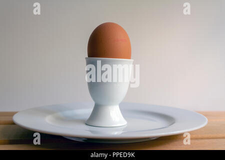 Boiled egg in a white egg cup on a white plate against a neutral coloured background with space for copy Stock Photo