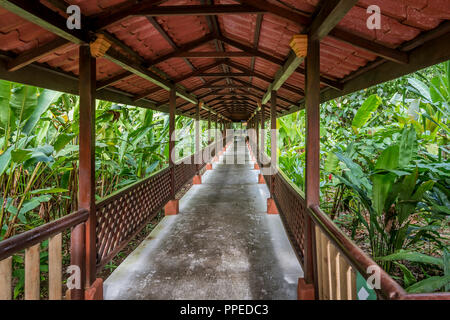 Aninga Evergreen Lodge, Guesthouse-Tortuguero National Park, Costa Rica Stock Photo