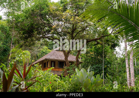 Rainforest, Corcovado National Park, Osa Peninsula, Costa Rica Stock Photo