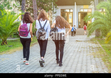 Group of kids going to school together, education. Stock Photo