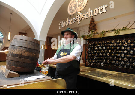 Edelhelles from the wooden barrel in the Bavarian traditional restaurant 'Donisl' at Weinstrasse 1 on the Marienplatz in Munich. Stock Photo