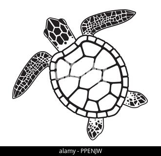 Vector graphic illustration of a Sea Turtle wildlife Stock Vector