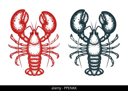 Lobster vector illustration. Crayfish isolated on white background. Vector seafood illustration Stock Vector