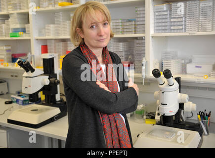 Director at the Max Planck Institute for Biochemistry, Biochemist and structural biologist,  Prof. Elena Conti Stock Photo