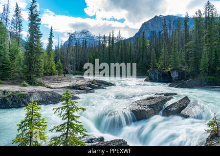 Turquoise glacier river in Yoho National Park, British Columbia, Canada Stock Photo