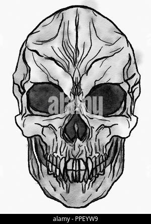 Vampire skull illustration Stock Photo