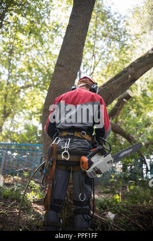 Worker in protective suit in a forest holds a chainsaw Stock Photo