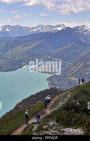 View from Jochberg (1,565 m) on Lake Walchen. Stock Photo