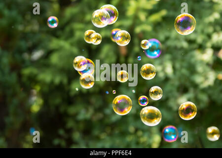 Group of colorful, mostly yellow soap bubbles at the green background in a garden Stock Photo
