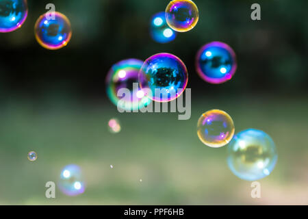 Group of colorful, mostly blue soap bubbles at the green background in a garden Stock Photo