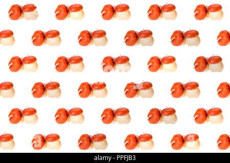 seamless collection of ripe orange autumnal pumpkins isolated on white Stock Photo