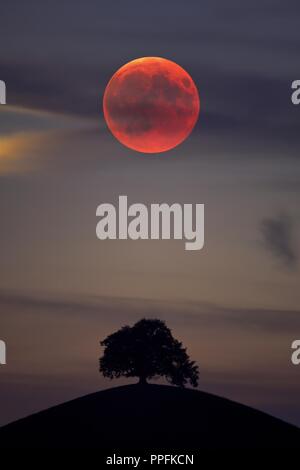 Bloodmoon, total lunar eclipse, double exposure with tree on moraine hill, Hirzel, Canton of Zurich, Switzerland Stock Photo