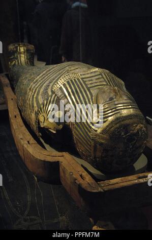 Hornedjitef hi-res stock photography and images - Alamy