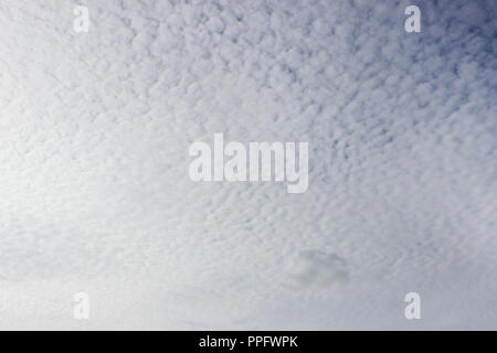 Light white cirrus clouds covering the large surface of the sky. Stock Photo