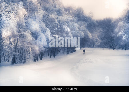 Lonely silhouette walking on snowy road in winter season in forest park snowy trees in soft blue purple colors Stock Photo