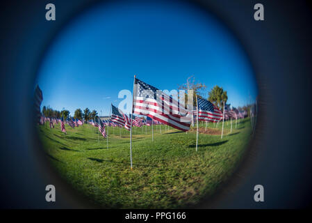 Low to green grass fish eye view of hundreds of American flags in a light breeze under a bright blue sky. Stock Photo