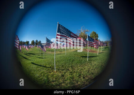 Low to green grass ultra wide angle view of hundreds of American flags in a light breeze under a bright blue sky. Stock Photo