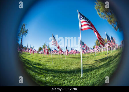 Low to green grass wide angle view of hundreds of American flags in a light breeze under a bright blue sky. Stock Photo