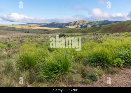 Views of Mt Inyangani, Zimbabwe's highest point, Nyanga national park ...