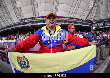 Aficionados de Venezuela apoyando a su equipo , durante partido semifinal de la Serie del Caribe en el nuevo Estadio de  los Tomateros en Culiacan, Me Stock Photo