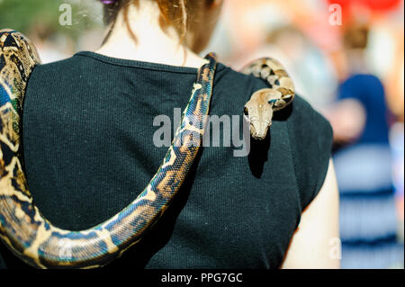Young girl with her pet python snake Stock Photo - Alamy