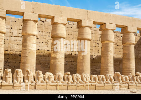 Ram-headed sphinxes in the forecourt of Amun Temple in Karnak. Luxor (Thebes), Egypt Stock Photo