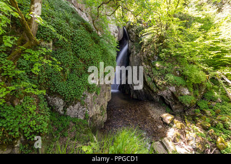 Landscape of Fotinovo waterfalls cascade (Fotinski waterfall) in Rhodopes Mountain, Pazardzhik region, Bulgaria Stock Photo