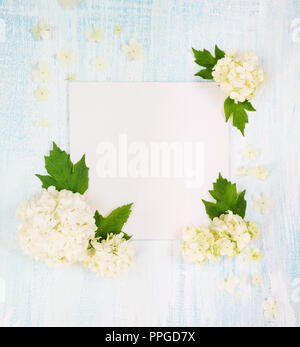 Scrapbooking page of wedding or family photo album, frame with fresh white hydrangea flowers and green leaves on light wooden background; top view, fl Stock Photo