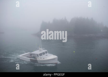 Lobster fishermen in their boats on the island of Vinalhaven, Maine. The island community in Penobscot Bay is one of the largest lobster fisheries in  Stock Photo