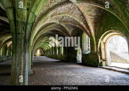 The Cellarium, Fountains Abbey, North Yorkshire, a UNESCO World Heritage Site – well-preserved ruins of a Cistercian Monastery