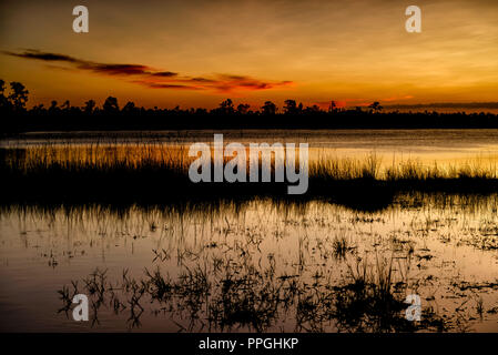 Sunset at Pine Glades Lake in the Everglades National Park Stock Photo