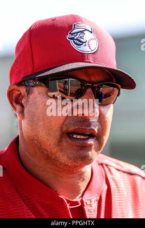 Elmer Dessens, Coachde pitcheo , durante entrenamiento de los