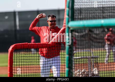 Elmer Dessens, Coachde pitcheo , durante entrenamiento de los Rojos de  Ccincinnati, en el Cincinnati Reds Player Development Complex de Goodyear,  AZ Stock Photo - Alamy