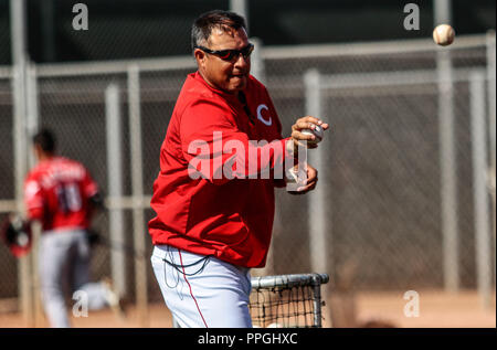 Elmer Dessens, Coachde pitcheo , durante entrenamiento de los