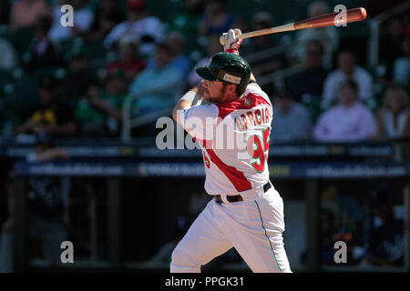 karim Garcia and Luis Alfonso Garcia of mexico during Mexico vs. Arizona  Diamondbacks game preparation, 2013 World Baseball Classic, Salt River Fiel  Stock Photo - Alamy