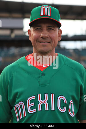 World baseball classic hi-res stock photography and images - Alamy